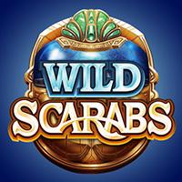 Wild Scarabs